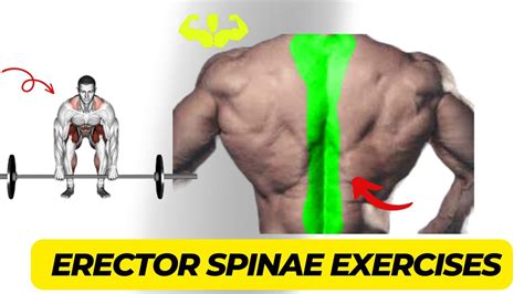 Great Erector Spinae Exercises For Stronger Back Youtube
