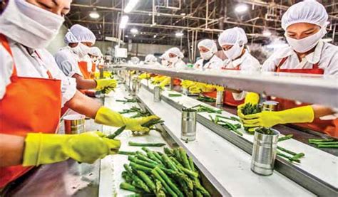 Trends come and go in all industries, but perhaps more so in the restaurant and bar industry than in any other. Indo-French Food Processing Ties - Media India Group