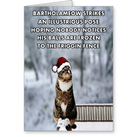 Funny Christmas Cat Holiday Card In 2021 Christmas Cats