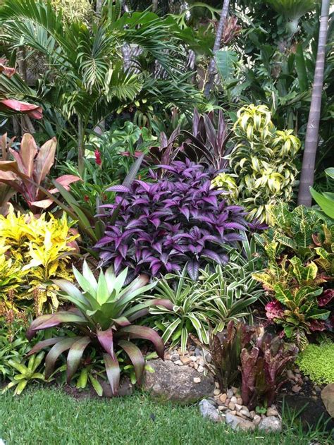 From cheap edging to patio bliss, there's an inexpensive option for everyone. 33 Beautiful Tropical Garden Design Ideas You Must Have ...