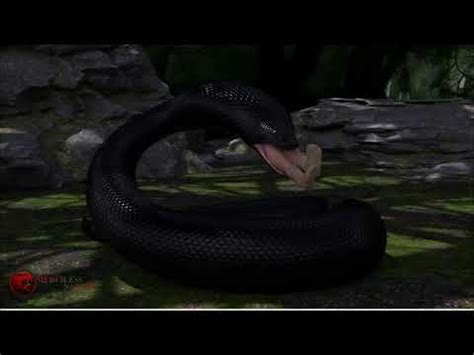 Titanoboa Eats Girl Snake Vore Youtube