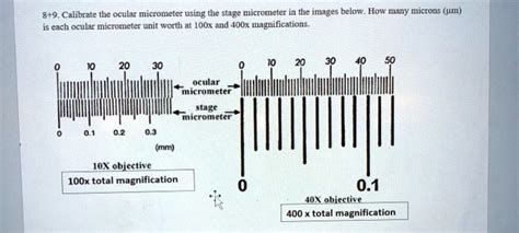 Solved 89 Calibrate The Ocular Micrometer Using The Stage Micrometer