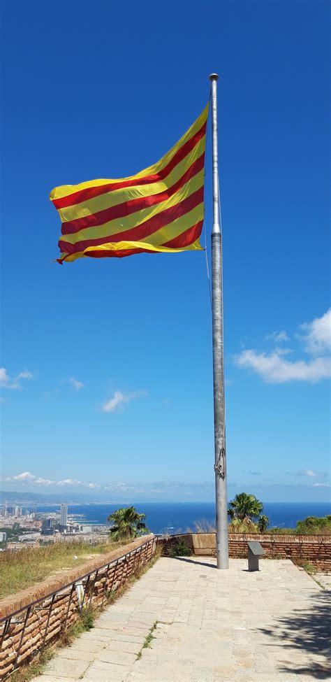 The Catalan Flag Rvexillology