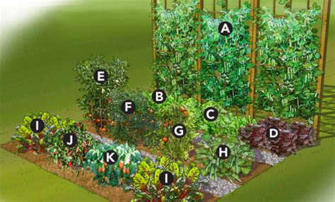 In raised bed gardening, you plant vegetables closer together and usually work off of a layout of squares. 25 Brilliant Vegetable Garden Layout Ideas for Beginners ...