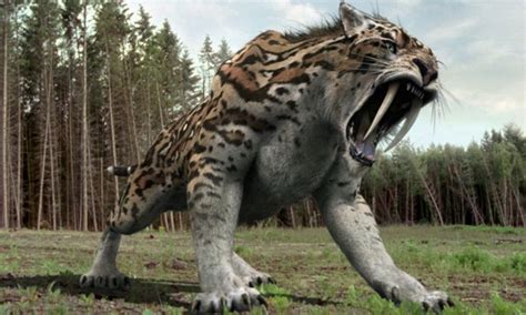 Here are the 10 most dangerous animals in the world. Top 10 Most Dangerous Animals in the World