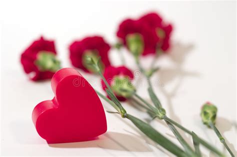 Fioraio.it con i nostri bouquet di fiori puoi arrivare dritto al cuore e regalare un'emozione. Cuore e fiori fotografia stock. Immagine di bianco ...