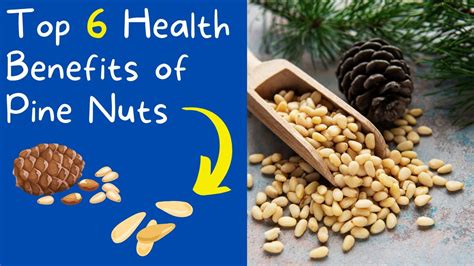 🔸top 6 Health Benefits Of Pine Nuts Benefits Of Pine Nuts Pine