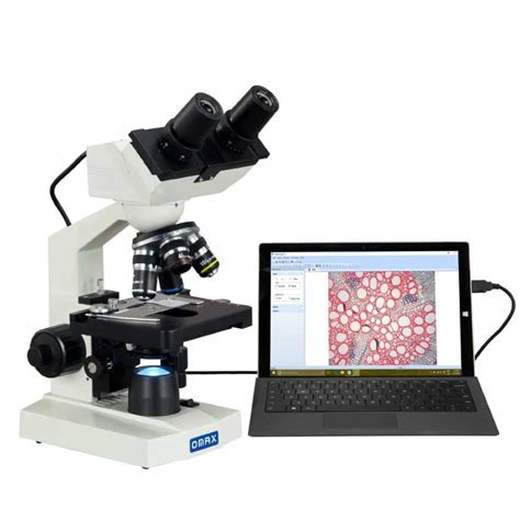Best Microscopes Reviews Huge 2021 Comparison Guide