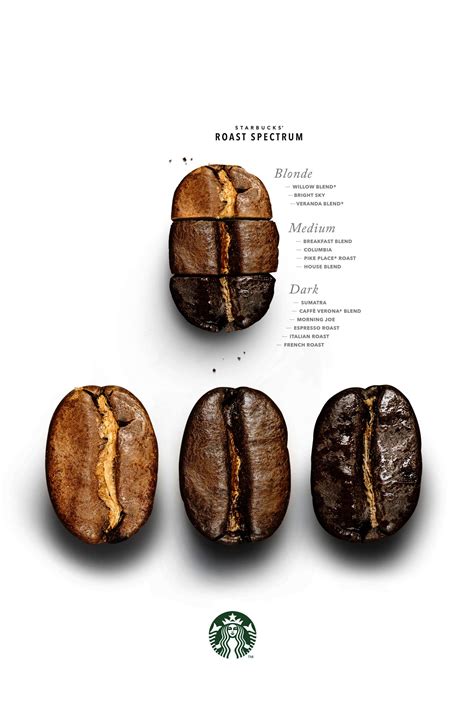 Coffee Beans Types Names Up Forever