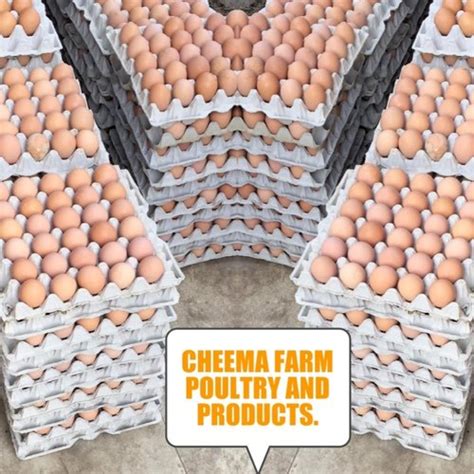 Brown Desi Eggs For Household Packaging Type Box At Rs 310tray In Jammu
