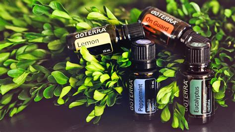 Place a 200pv order and get a free 15ml here's a short video overview of doterra arborvitae essential oil, including some. Essential oils to lift your life