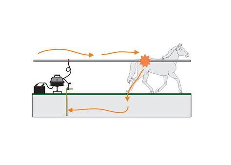 An electrical pulse travels through the animal and back to the. Does My Electric Fence Need To Be A Circuit? | Electric ...