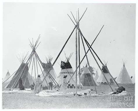 Native Americans Setting Up Teepees By Bettmann