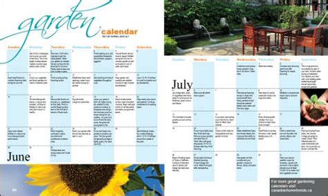 Junejuly Garden Calendar Home Trends Magazine
