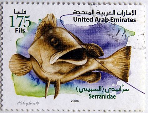 United Arab Emirates Endangered Or Extinct Persian Gulf Marine Life