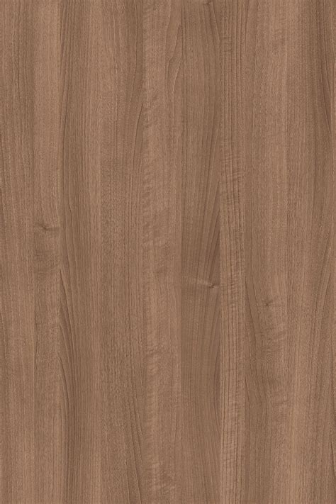 Veneer Laminate Texture Seamless Wood Tile Texture Wa