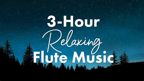 3 Hour Flute Music For Deep Relaxation Sound Healing With Ilchi Lee Youtube