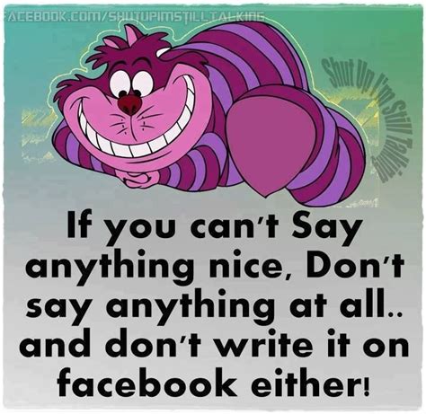 If You Cant Say Anything Nice Dont Post It On Facebook Either
