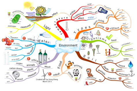Mind Map Of Our Environment Social Science Environment 12657371
