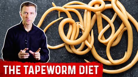 The Tapeworm Diet Pros And Cons Youtube