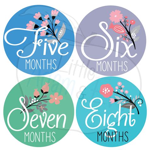 Baby Monthly Milestone Stickers 12 Stickers Floral Monthly Baby