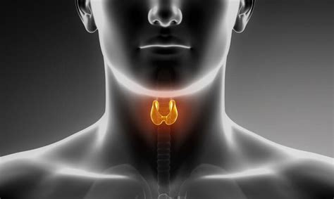 Thyroid Troubles Aprof Luke Tan Clinic