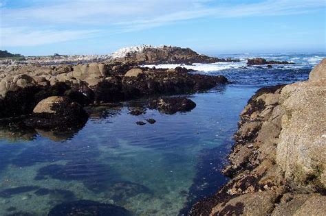 Pacific Grove Pictures Traveler Photos Of Pacific Grove Monterey
