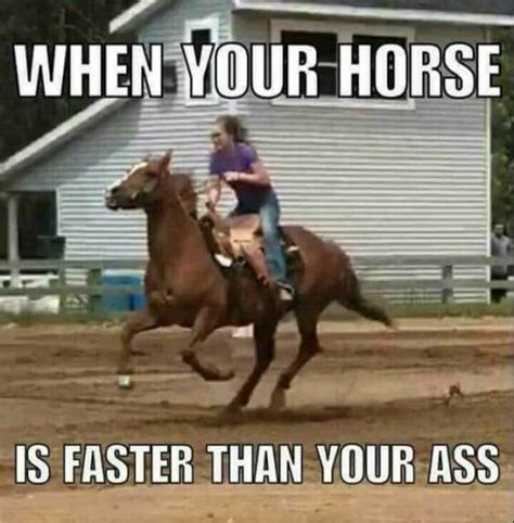 22 Funny Horse Riding Pictures That Prove Horses Have A Sense Of Humor Too