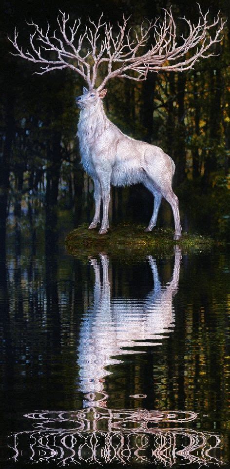 11 Best White Stag Images On Pinterest Deer Costumes