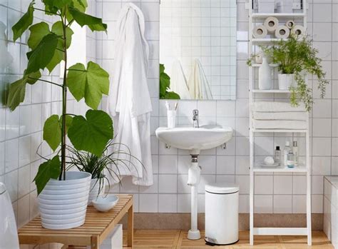 5 Plantas Que Puedes Tener En El Baño Ikea Bathroom Bathroom Plants