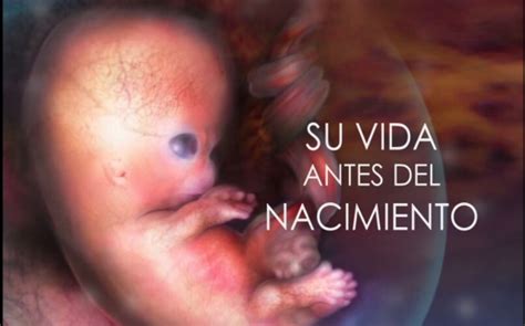 Espectacular Vídeo Sobre La Vida Del Bebé Antes De Nacer Con Imágenes