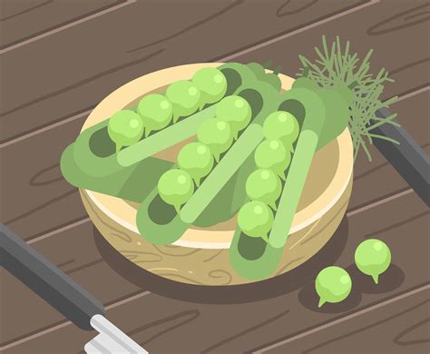 Peas In Pods Vector Vector Art And Graphics