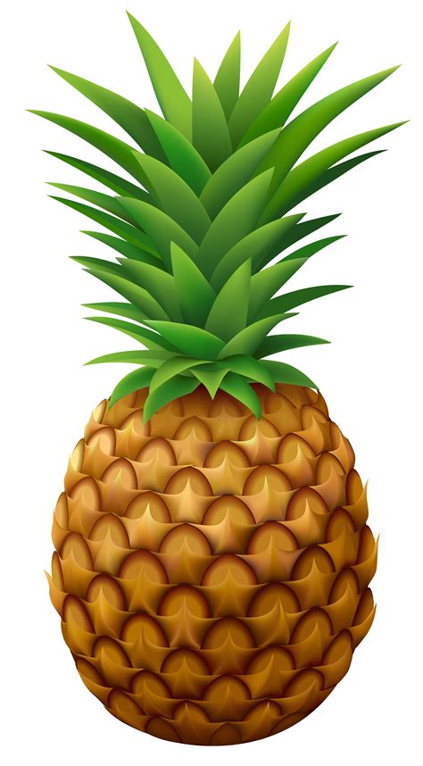 Pineapple Png Vector Clipart Image Gallery Yopriceville High