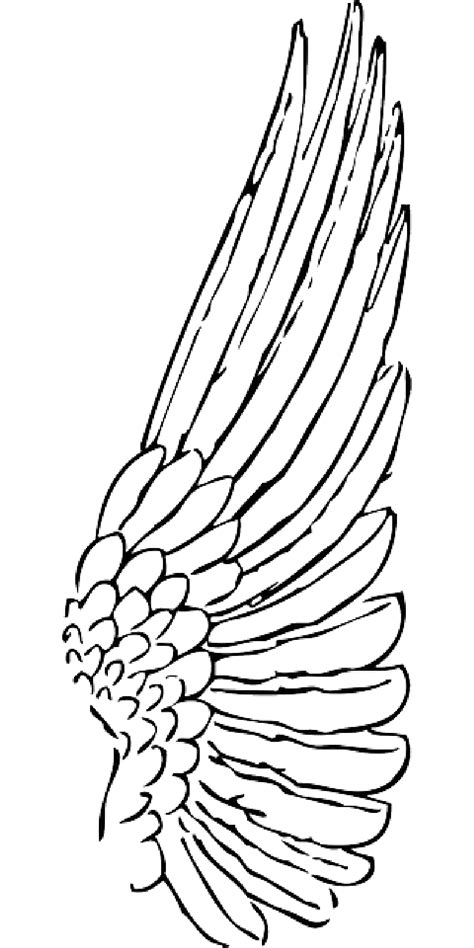 Outline Feather Angel Birds Bird Wing Wings Public Domain Angel Wings