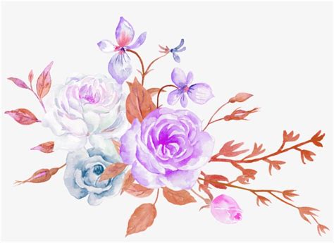 Rose Flower Aesthetics Floral Design Aesthetic Flowers Png 1000x680