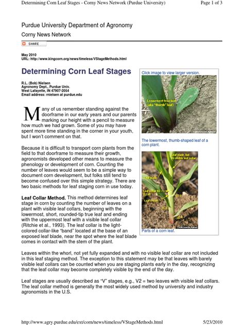 Determining Corn Leaf Stages Purdue University Download Free Pdf