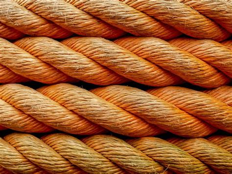 Many Orange Ropes Are Stacked Up Together