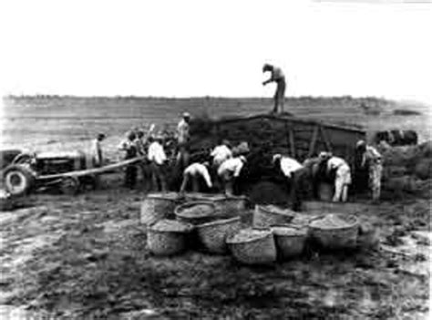 The act reached historically high levels. Roaring Twenties timeline | Timetoast timelines