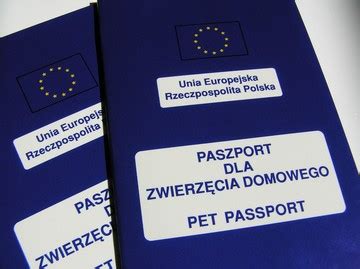 Paszport dla psa z czym to się je zgranestado pl