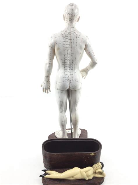 Lot Acupuncture Model Nude Trinket Box
