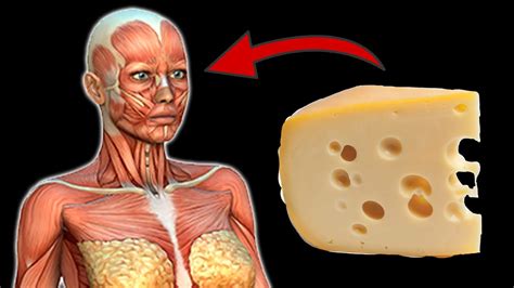You Wont Believe What Happens When You Eat Cheese Every Day 💥