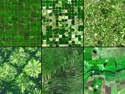Agricultural Patterns Green Photo 19783867 Fanpop