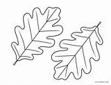 Coloring Leaf Pages Oak Kids Printable sketch template