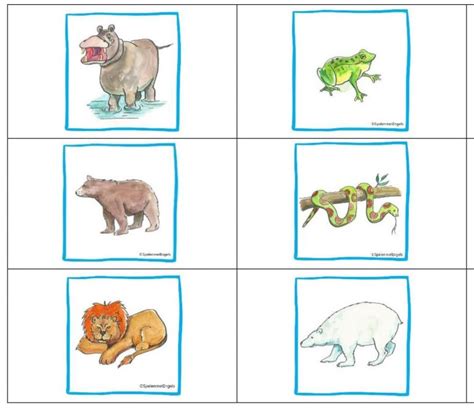 Bingo Wild Animals Spelend Woordjes Oefenen Spelen Met Engels