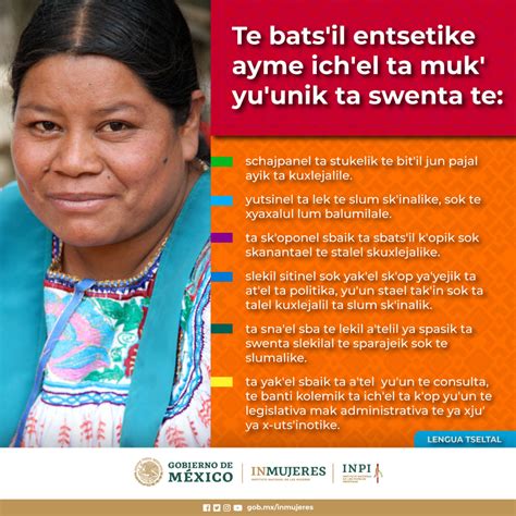 Infograf As Derechos De Las Mujeres Ind Genas Inmujeres Inpi Dili M Xico