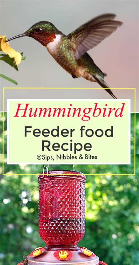 To prevent hummingbird feeder bees, wasps, yellow jackets or honey bees use tray or dish feeders or bee guards or hummingbird feeders with bee guards to keep the bees away. Hummingbird Food Recipe | Hummingbird food, Hummingbird ...