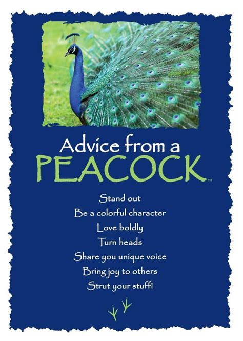 Advice From A Peacock Greeting Card Blank Your True Nature Inc Advice Quotes Nature