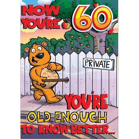 Doodlecards Funny 60th Birthday Card Age 60 Medium