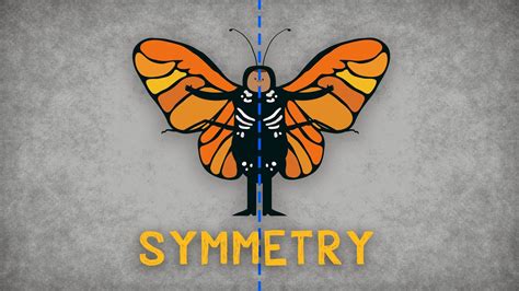 Ted Ed Animation Explaining The Importance Of Symmetry Teaching Videos