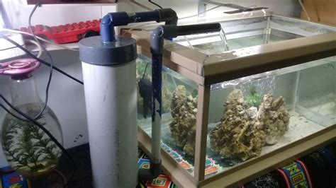 1 botol aqua besar : 40+ Trend Terbaru Cara Membuat Filter Aquarium Dari Barang ...